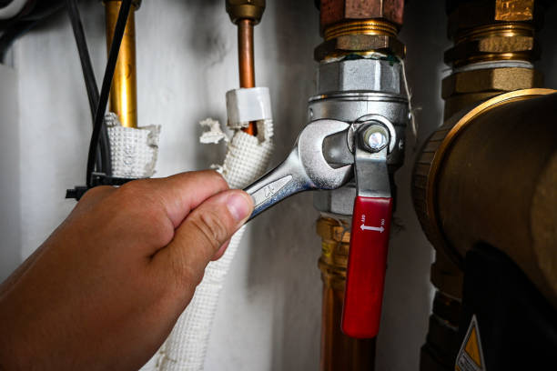 Best Same-Day Plumbing Service  in Windsor, MO
